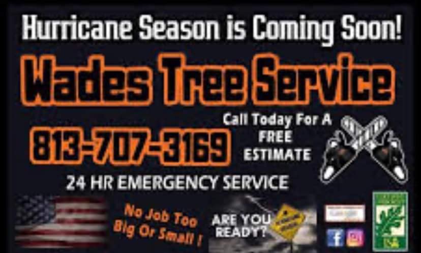 Wade’s tree service | Plant City FL
