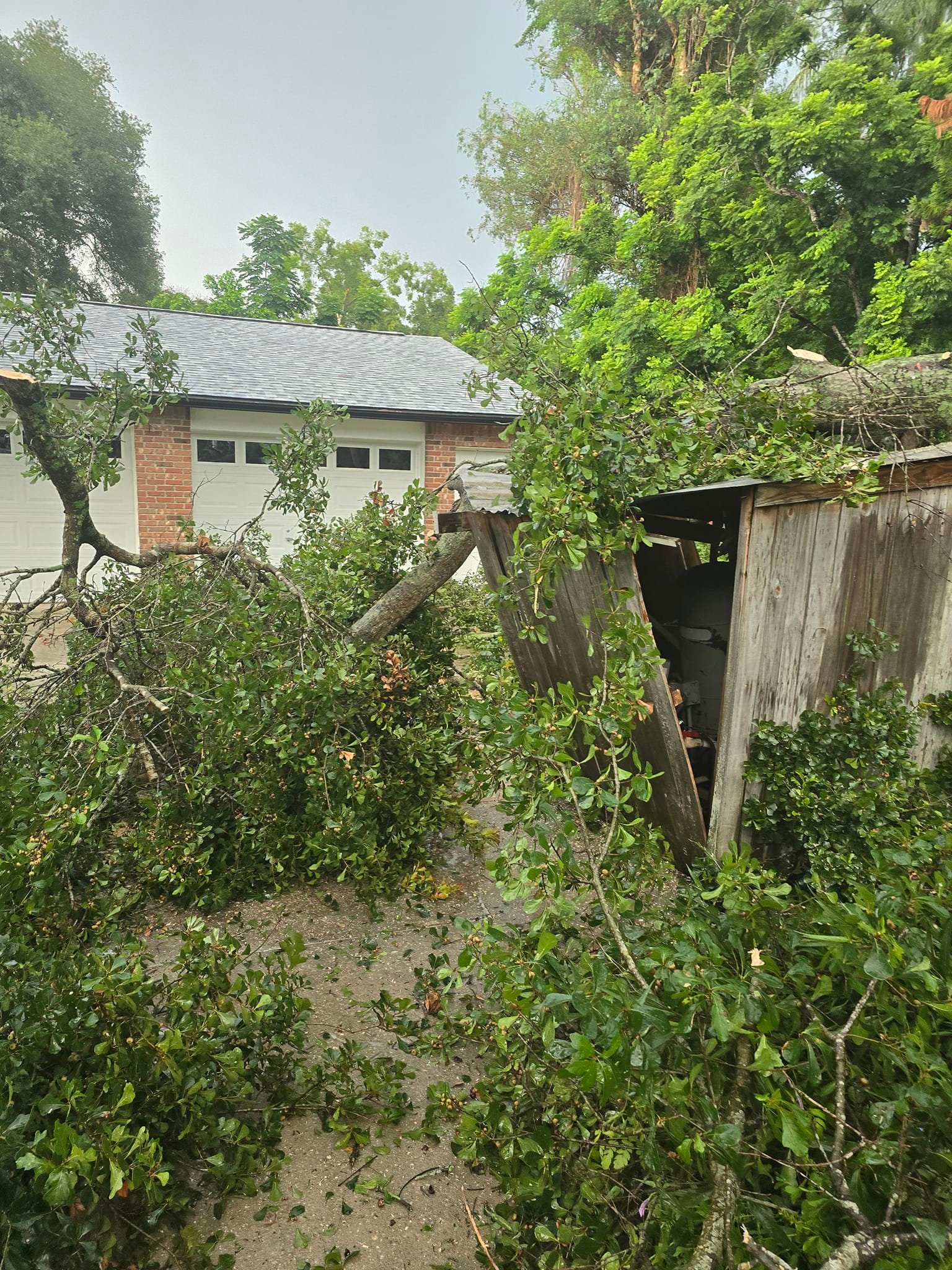 Wade’s tree service | Plant City FL