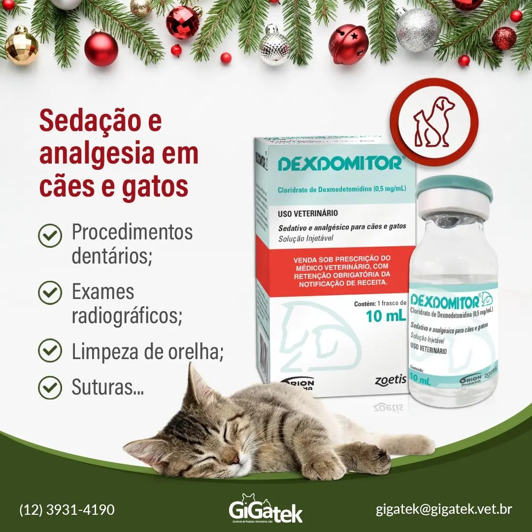Gigatek | São José dos Campos SP