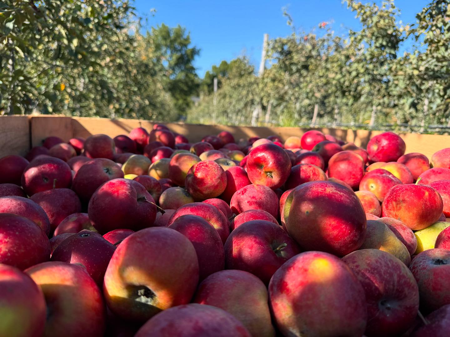 Hidden River Farms, Saugatuck MI | Saugatuck MI