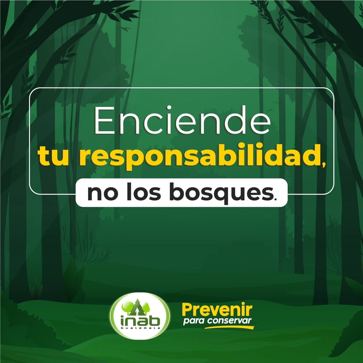INAB Guatemala - 🤔🤓¿#SabíasQue? Cada 🗓 16 de octubre se... | Facebook