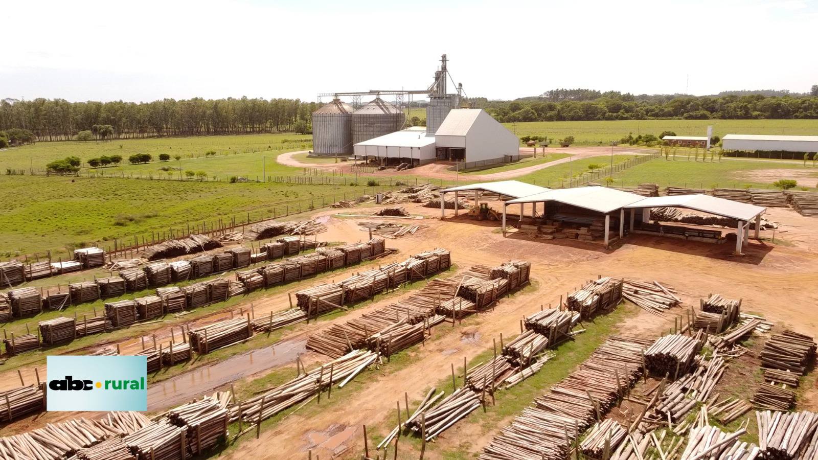 ABC RURAL