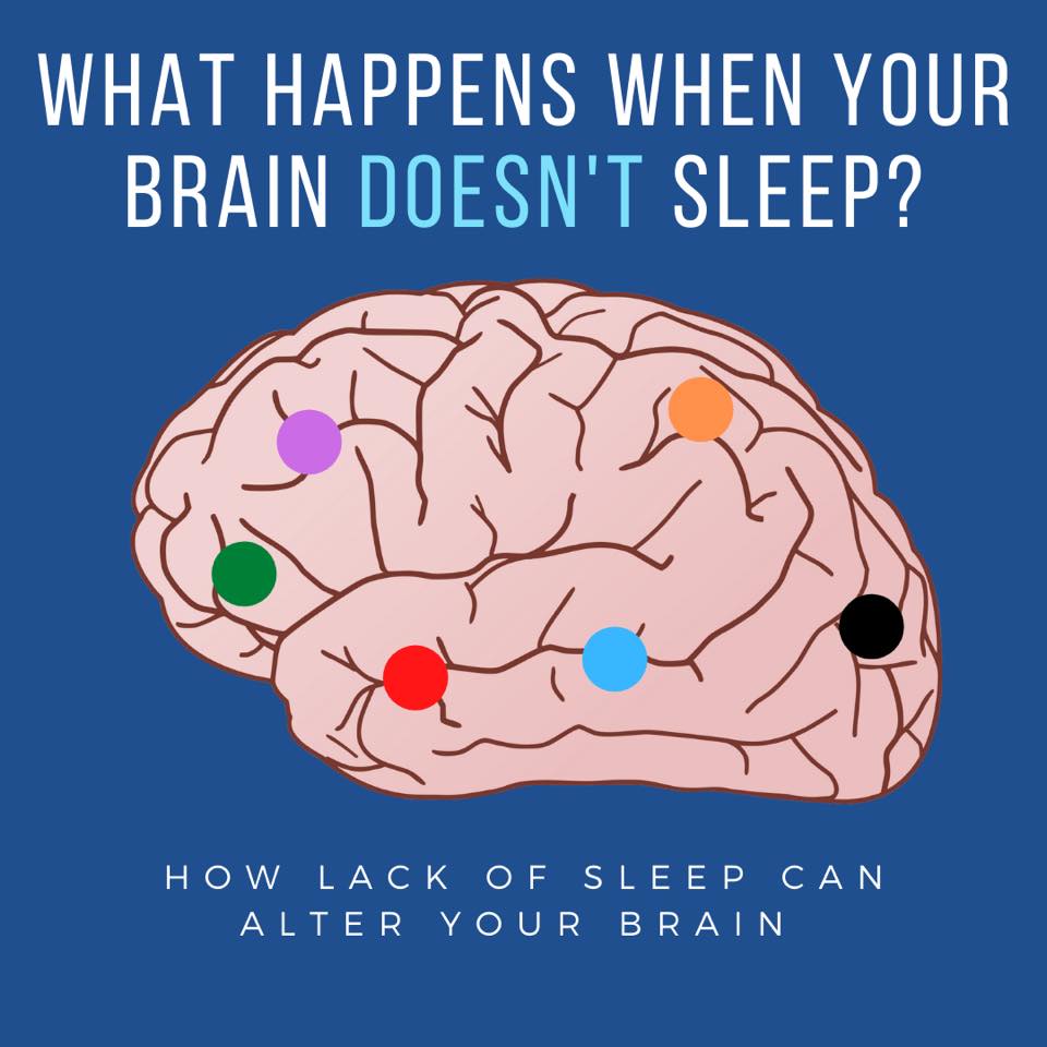 Sleep Insights - Your brain is in charge of everything we...