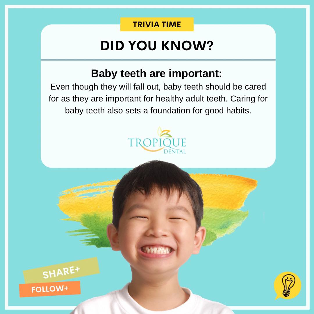 Tropique Dental - 🦷 Kid’s Tooth Trivia! Did you know baby... | Facebook