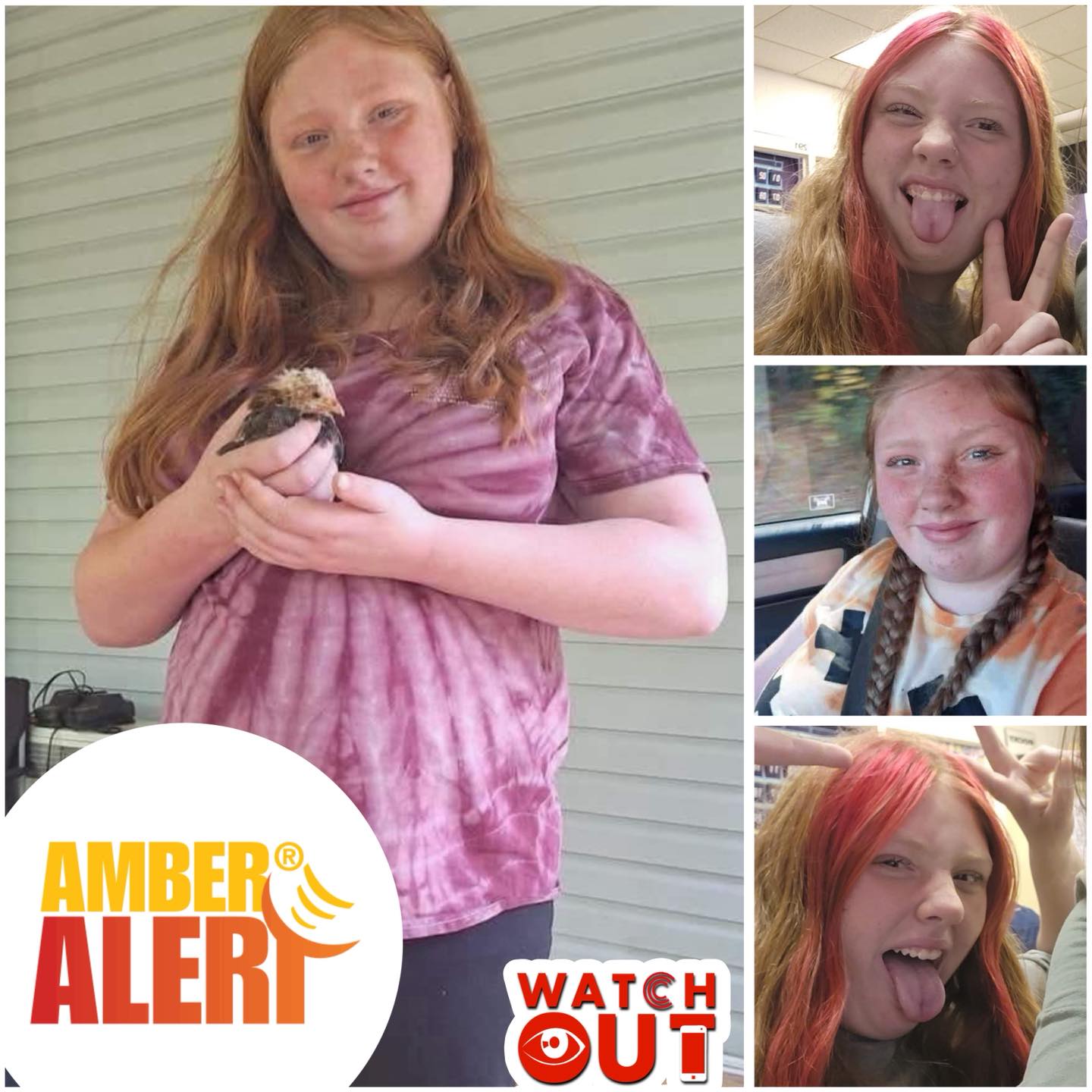 Watch - ⚠️ AMBER ALERT UPDATE: CANCELLED 📝 Nov 2, 2025 – The statewide ...