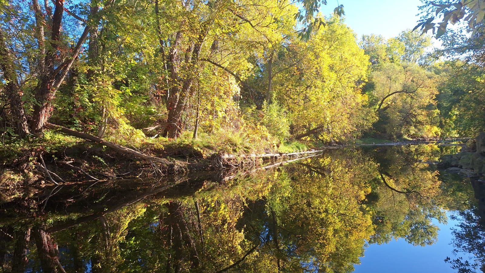 Friends of Tom Riley Park | Toronto ON