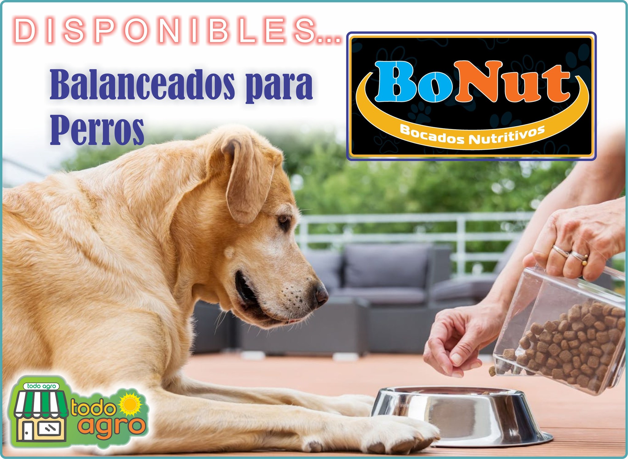 TODO - D I S P O N I B L E S BALANC. P/ PERROS ADULTOS #BONUT
