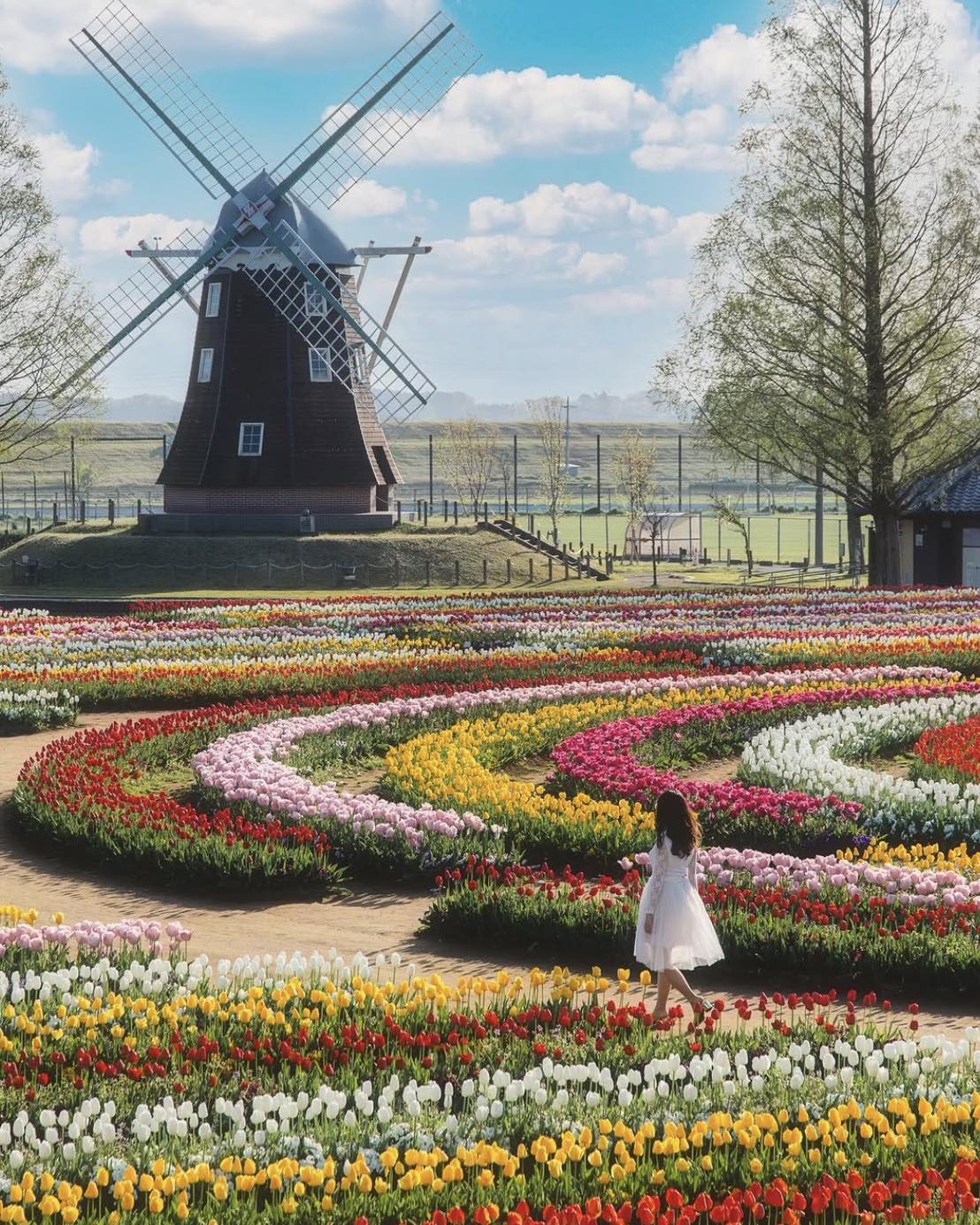 akebonoyama agriculture park