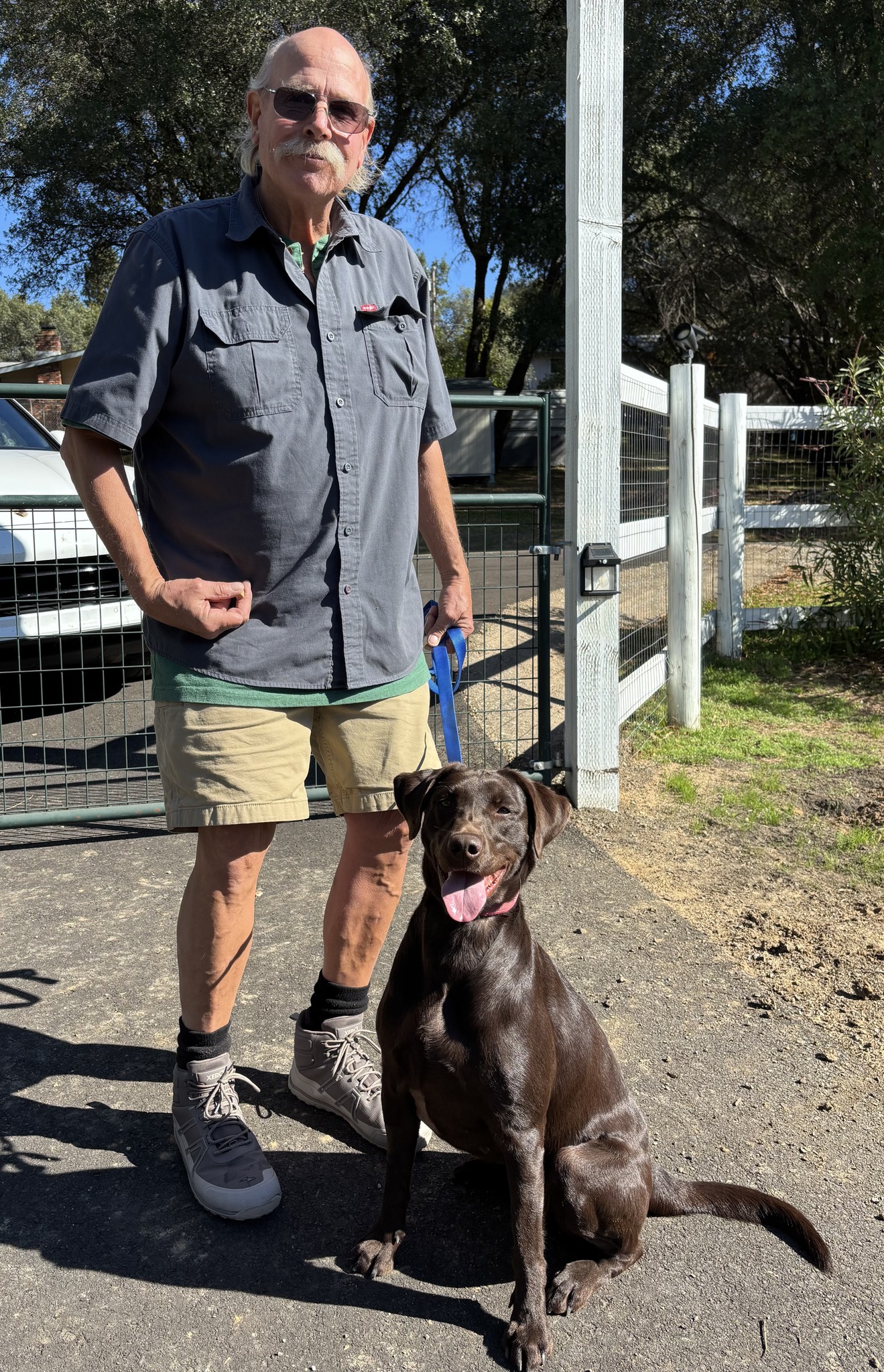 A Gratitude Story:... - Golden Gate Labrador Retriever Rescue | Facebook