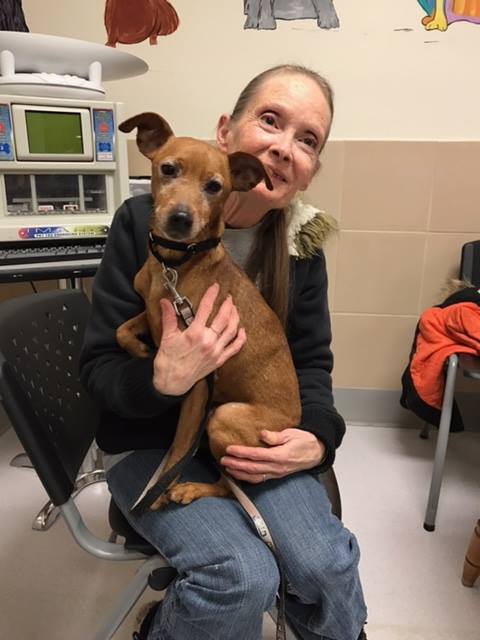 Adopt A Pet of Fenton, Michigan - Rah Roo says love will find a way ...