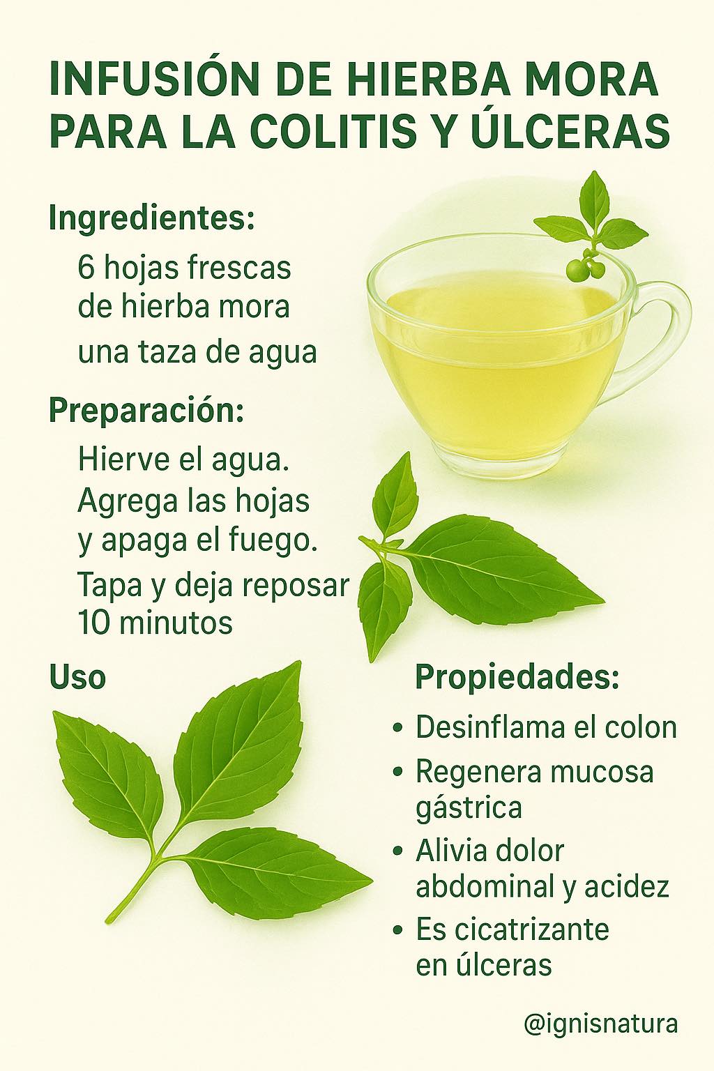 Ignis - ¿Sufres de colitis o úlceras gástricas? Esta infusión natural ...