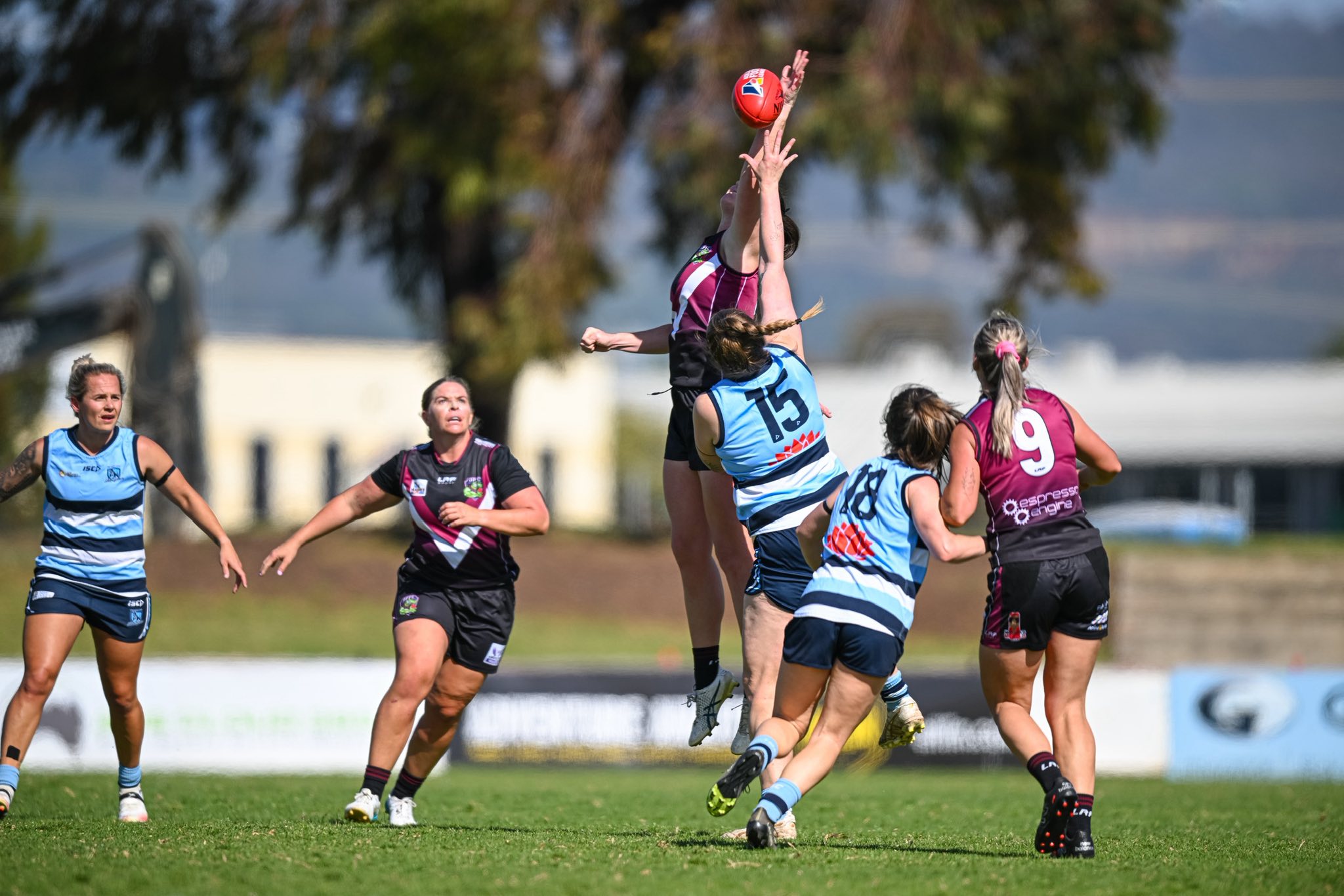 Queensland Crocs Football Club | Brisbane QLD