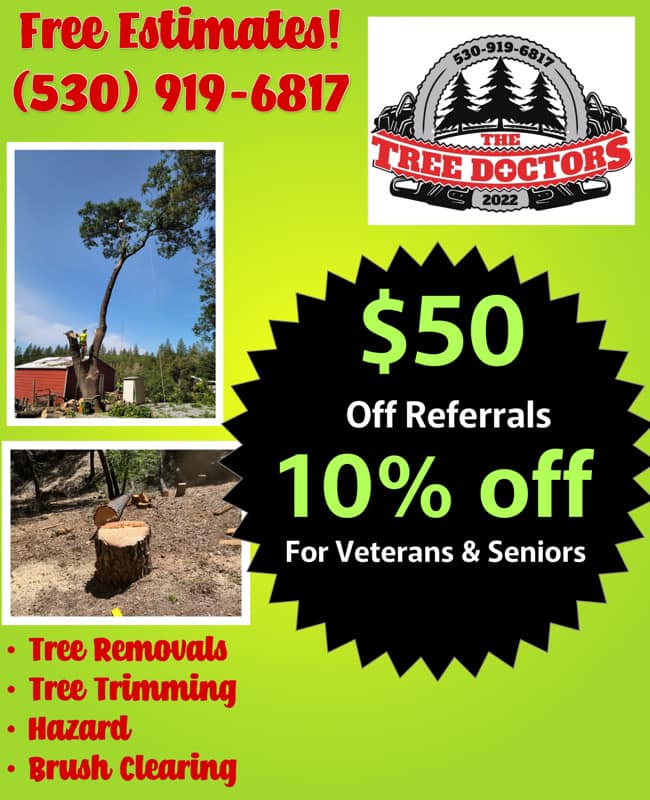 The Tree Doctors LLC | Midlothian TX
