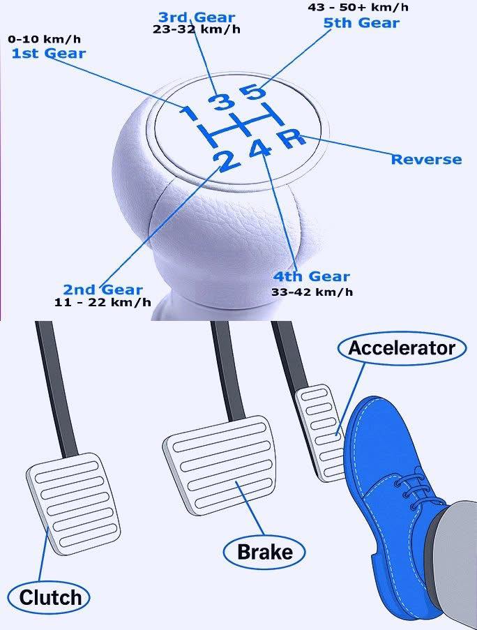 ENGR - Manual Car Driving: Gears, Clutch, Brake, and Race Pedal: 🚗 1 ...