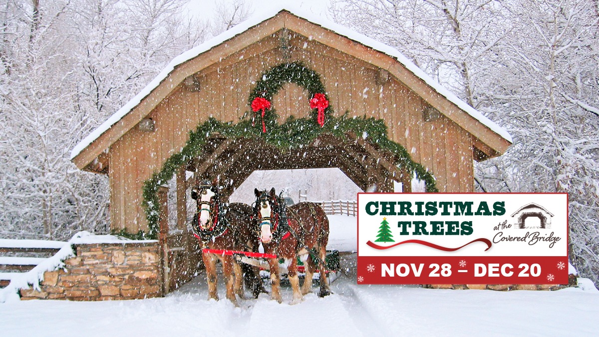 Covered Bridge Ranch | Montrose CO
