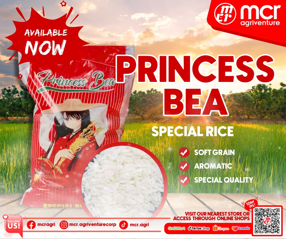 👑🍚 𝐏𝐫𝐢𝐧𝐜𝐞𝐬𝐬 𝐁𝐞𝐚 𝐒𝐩𝐞𝐜𝐢𝐚𝐥 𝐑𝐢𝐜𝐞... - MCR Agriventure Corporation | Facebook