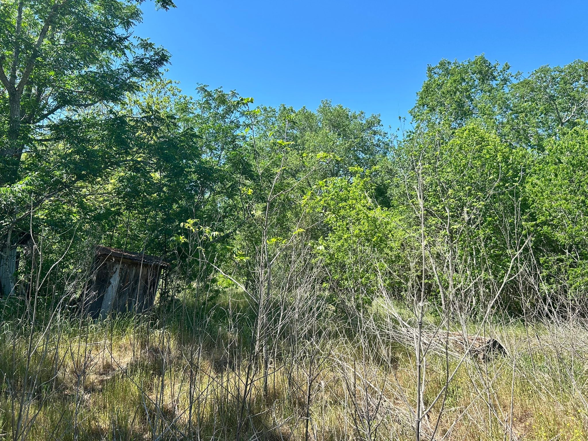 Texas Ranch Services | Stockdale TX