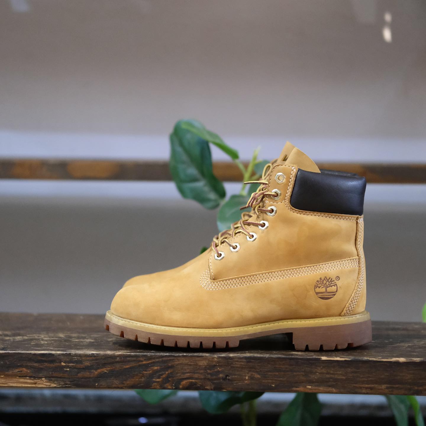 NGHIỆN BOOTS | 𝗧𝗜𝗠’𝗕𝗘𝗥𝗟𝗔𝗡𝗗 - 𝟭𝟬𝟬𝟲𝟭 𝟲 𝗜𝗡𝗖𝗛 𝗣𝗥𝗘𝗠𝗜𝗨𝗠 𝗪𝗔𝗧𝗘𝗥𝗣𝗥 ... | Facebook