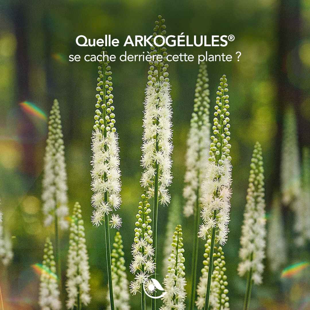 arkopharma-indice-quand-le-corps-se-transforme-elle-aide