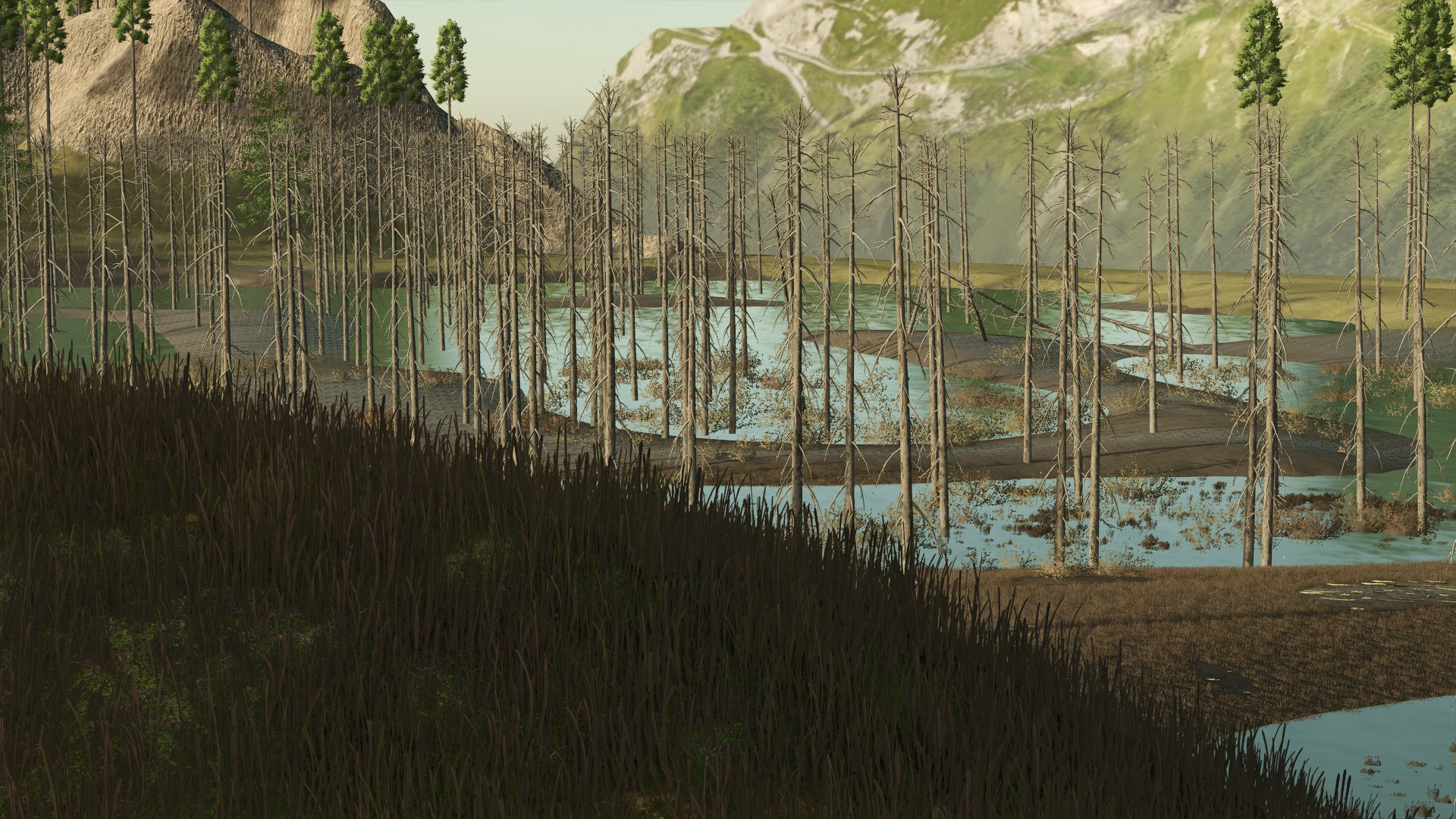 Gamer - The legendary forestry map returns; evolved, expanded, and ...