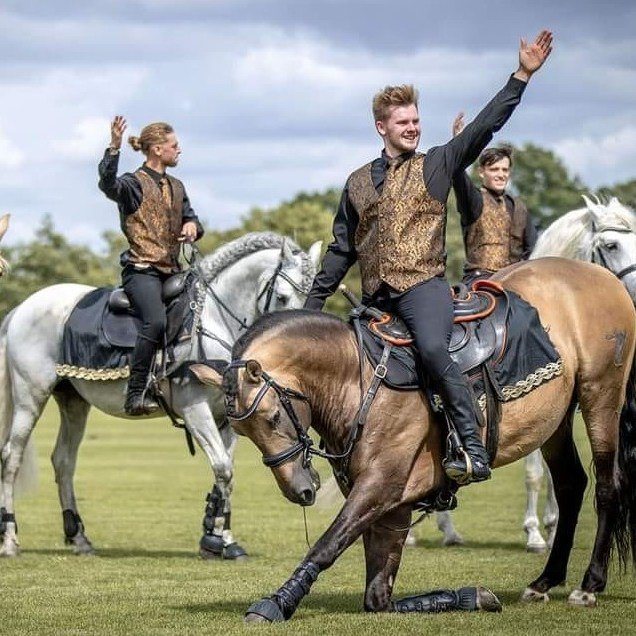 OG Performance Horses | Newport Pagnell