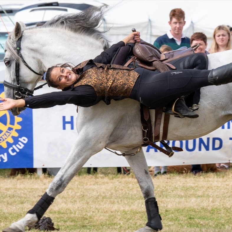 OG Performance Horses | Newport Pagnell