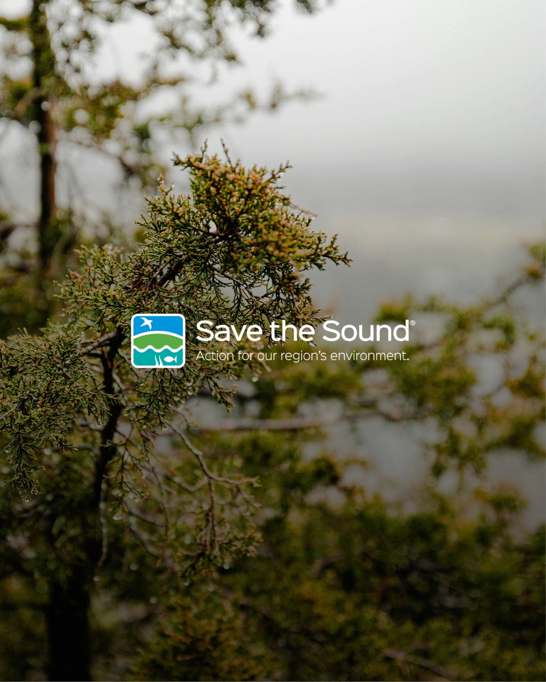 Save the Sound