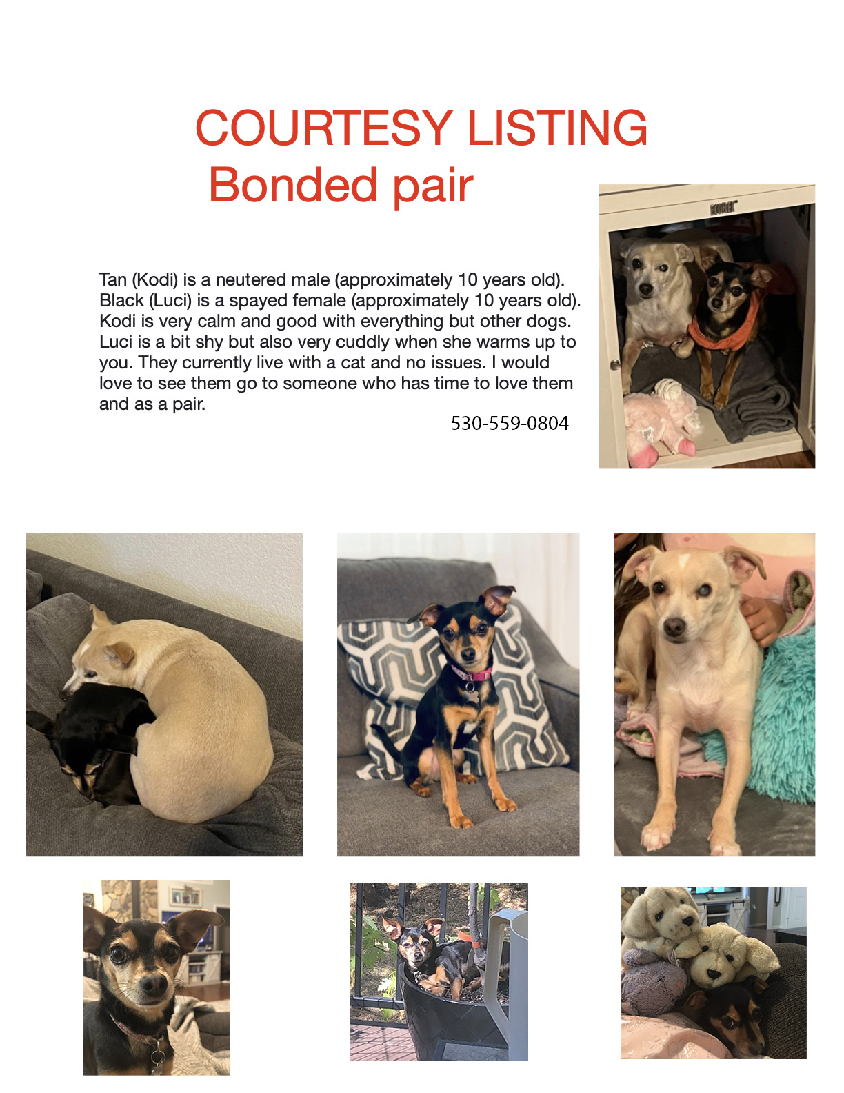 Here are some of the many animals in... Sammie's Friends Facebook