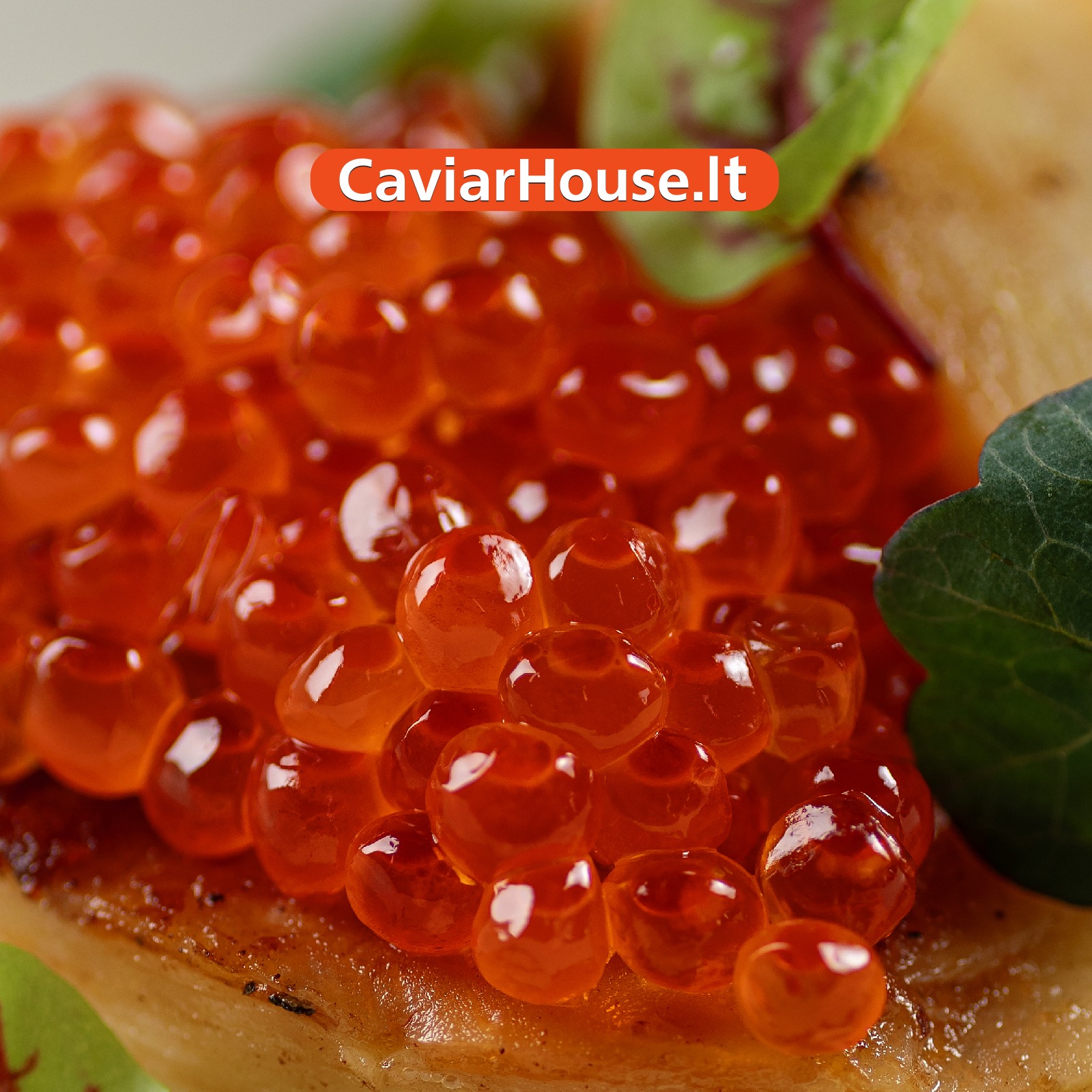 CaviarHouse Lithuania | Riga