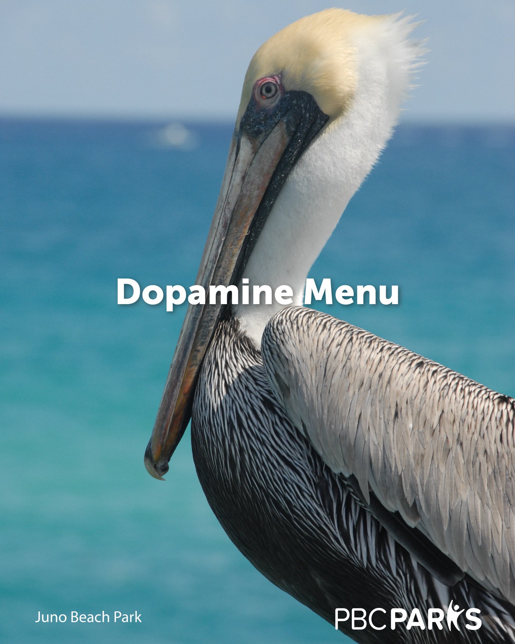 This is our dopamine menu. 💙 A... - PBC Parks and Recreation | Facebook