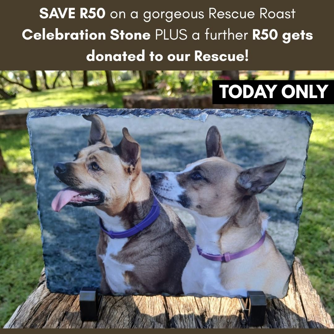 Silver - 💛 SAVE R50 TODAY — AND RESCUE Roast WILL DONATE ANOTHER R50 TO ...