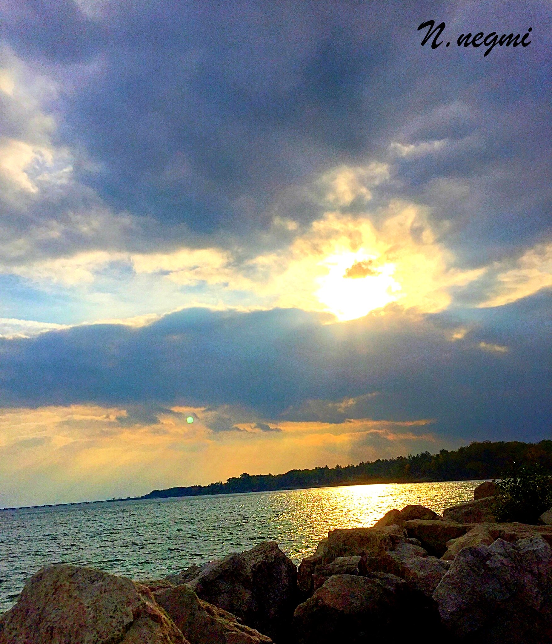 Noha Negmi's photography