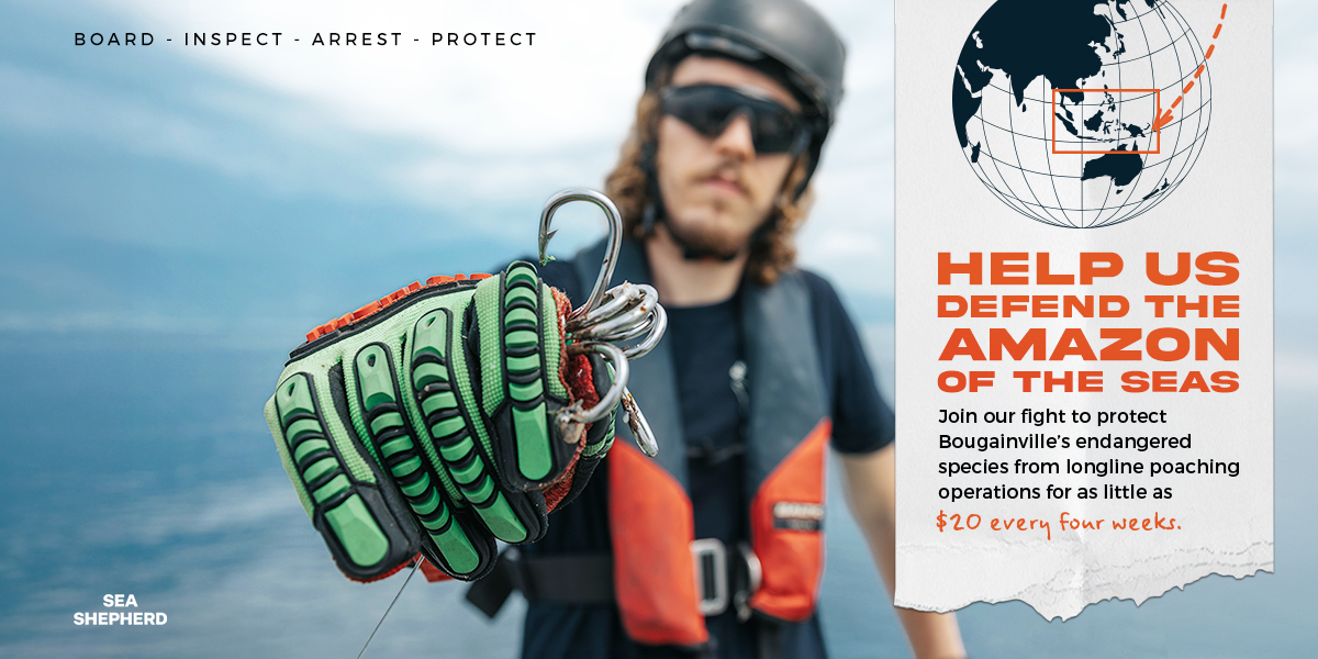 Captain Paul Watson Foundation - SEA SHEPHERD - THE CUTTING EDGE OF ...