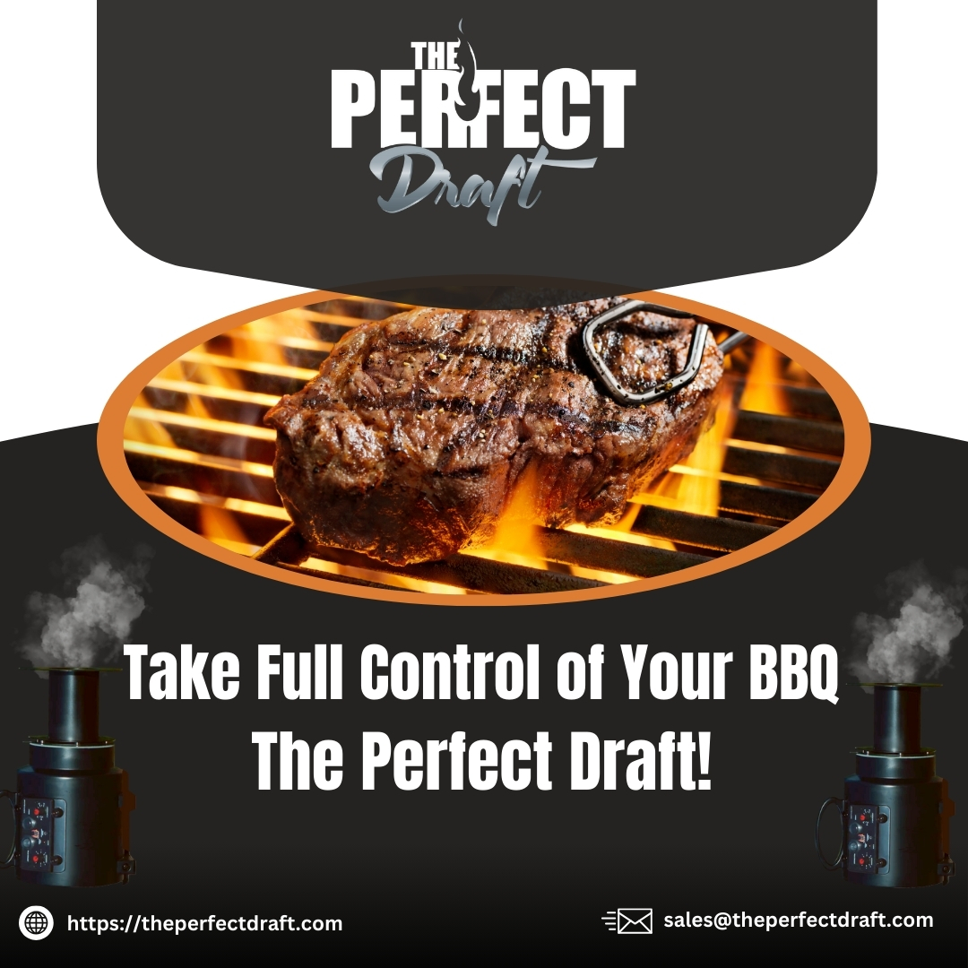 The Perfect Draft Blower - 🔥 Master the Fire, Elevate the Flavor! 🔥 BBQ ...