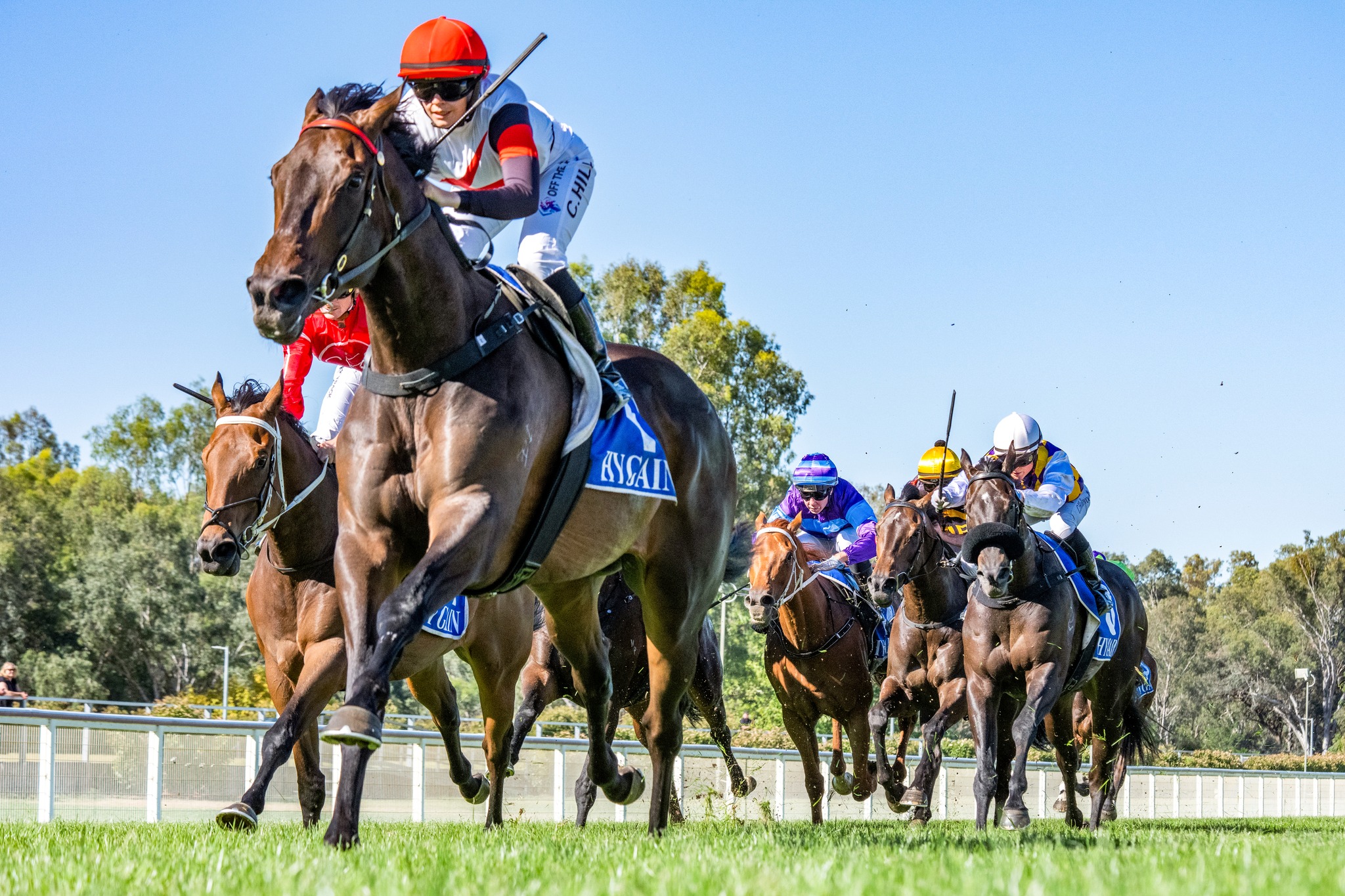 Racing - Yam ridden by Cassidy Hill wins the Merry Christmas From The ...