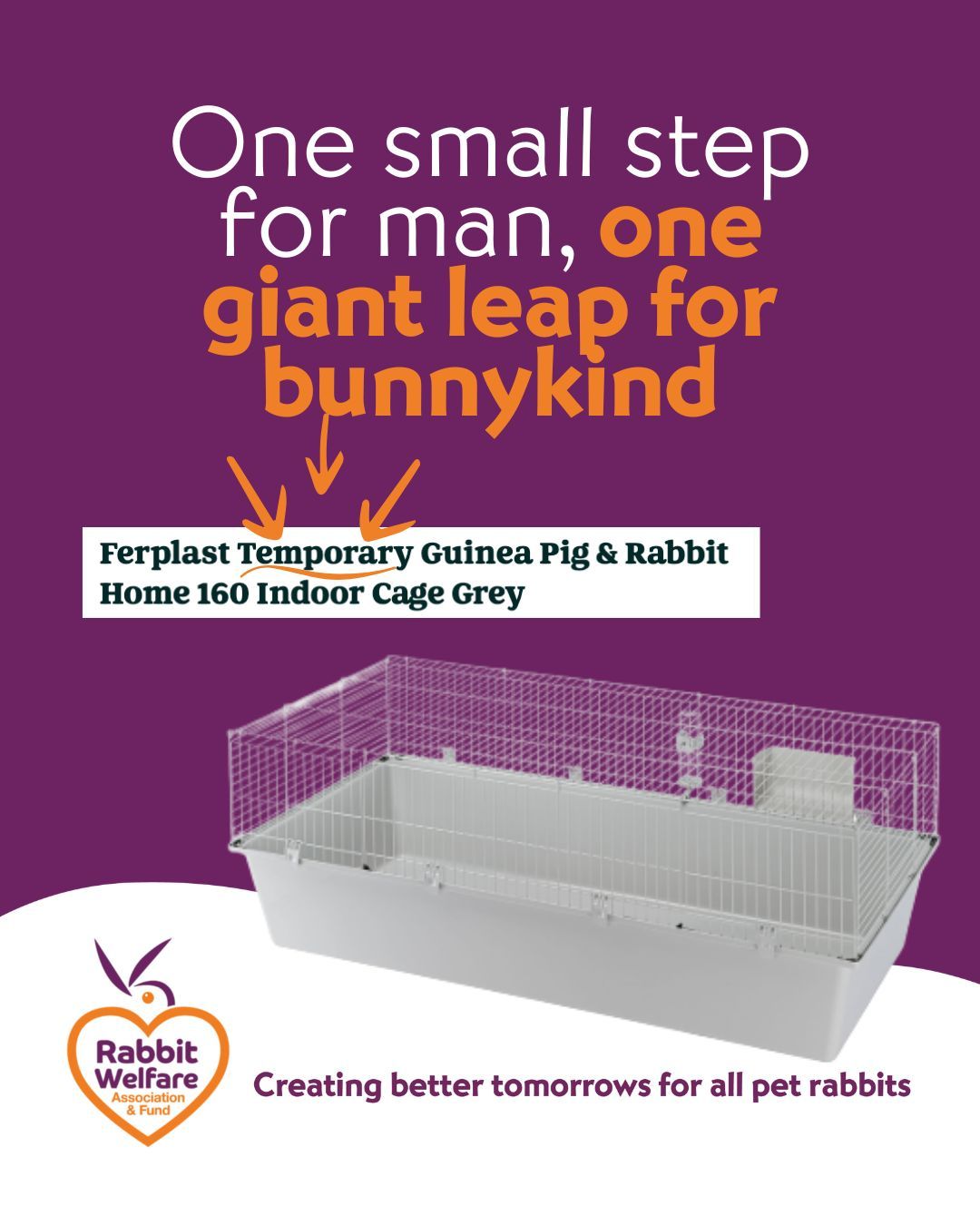 The Rabbit Welfare Association and Fund | Kington
