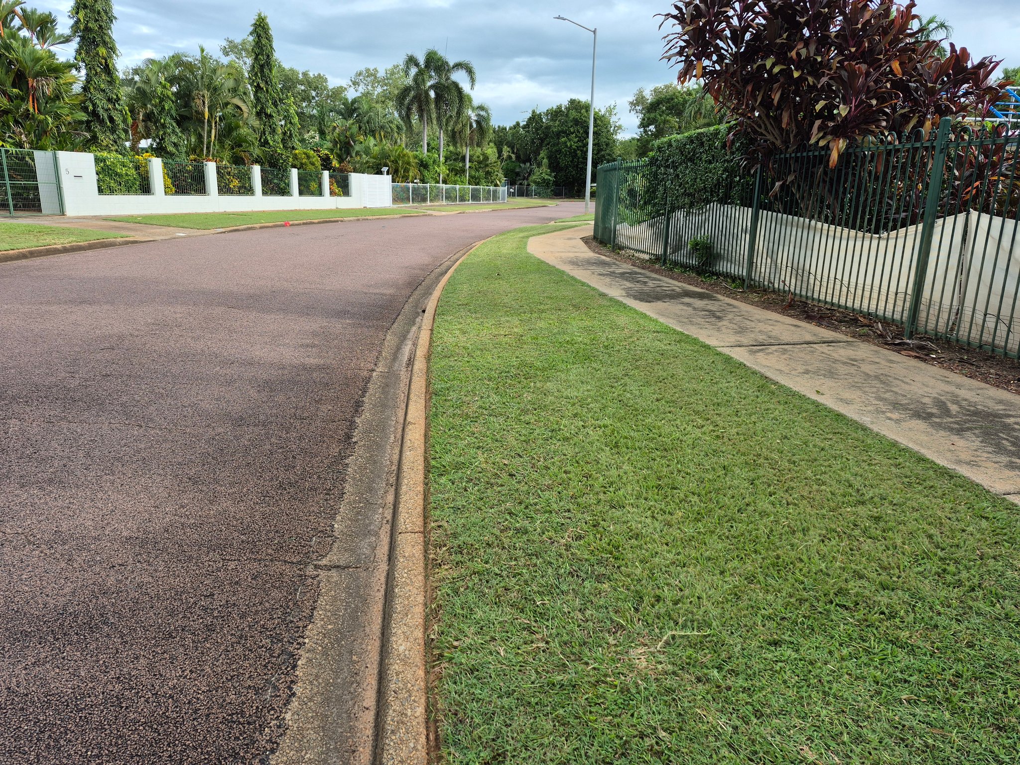 Golden Palm Garden | Darwin City NT