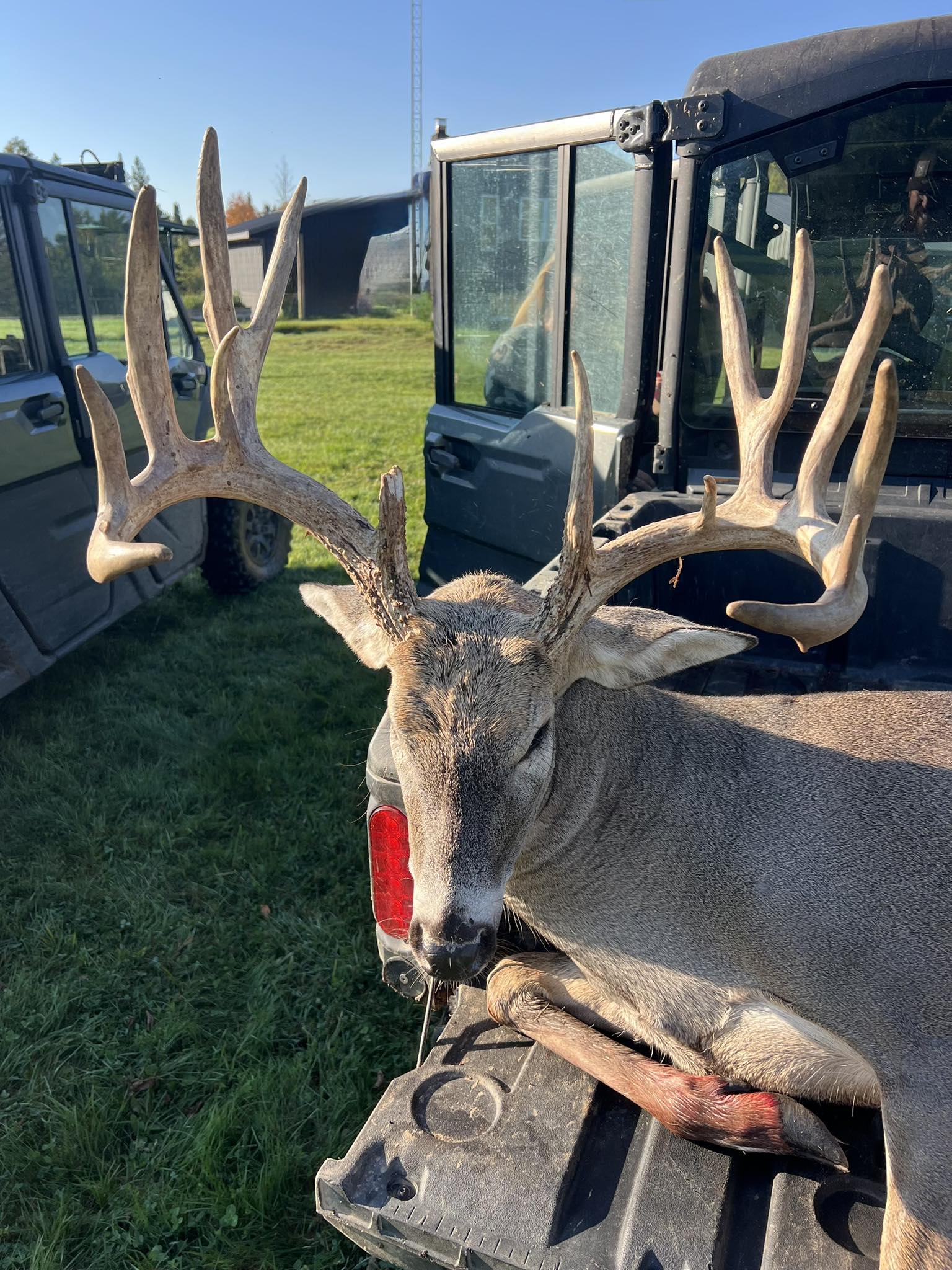 Hunt's - Doesn’t get any prettier matching splits awesome buck!!# ...