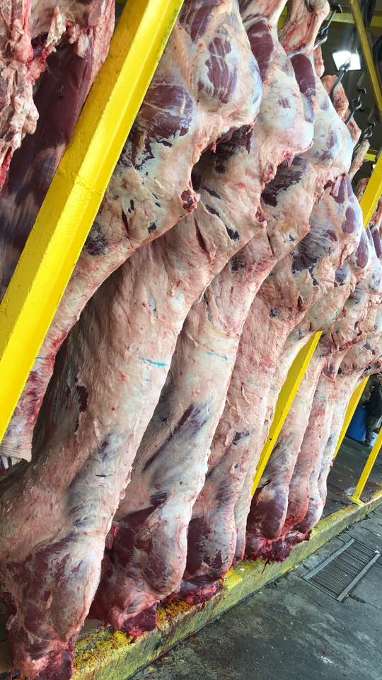 Carniceros y tablajeros del Estado de México | Amigos carniceros Una ...