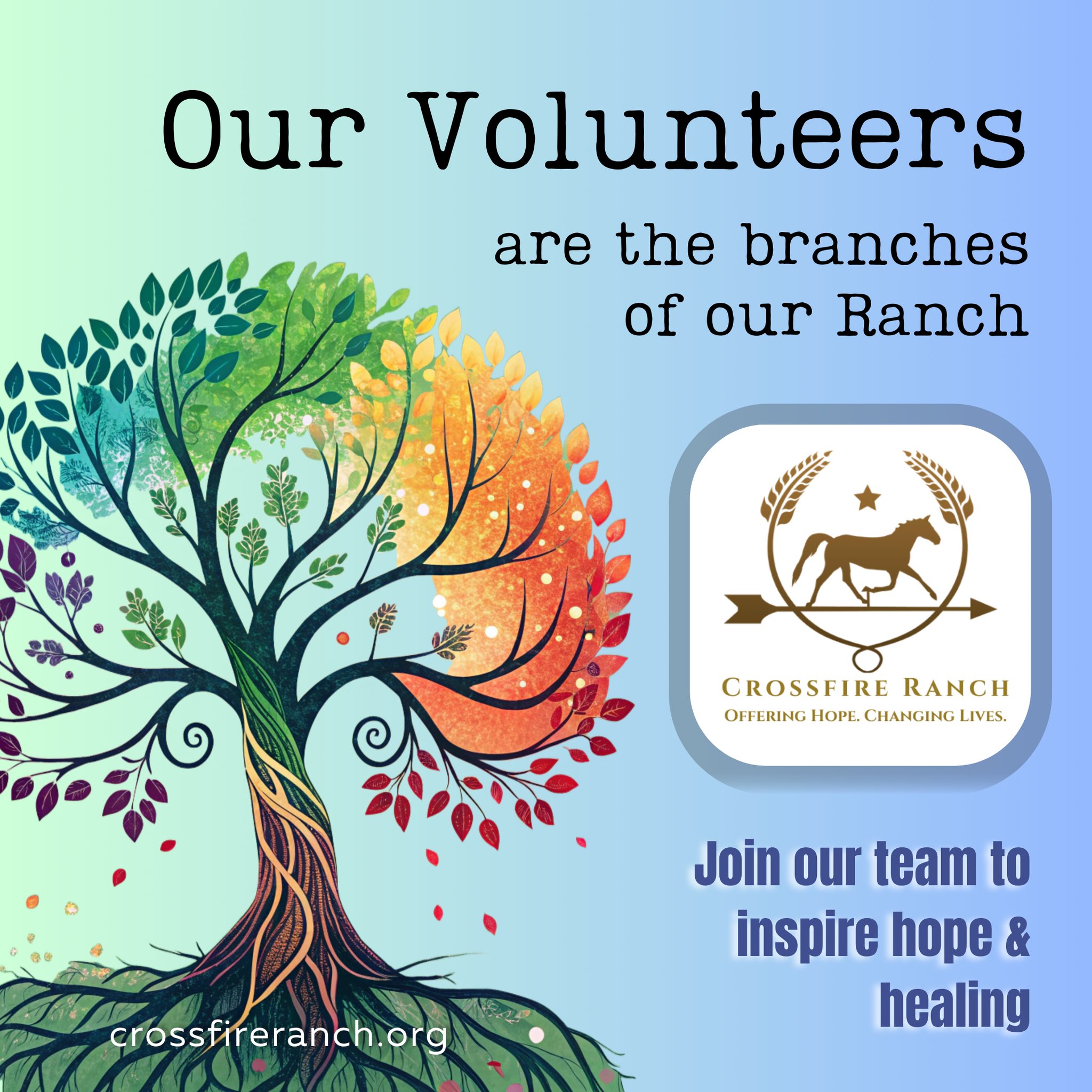 🫶💖 To our volunteers: You are the hands... - Crossfire Ranch | Facebook