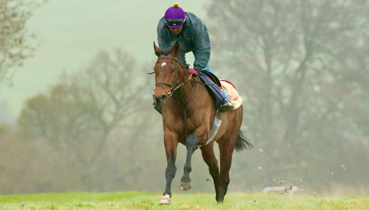 Whatcombe Racing - Paul and Oliver Cole | Wantage