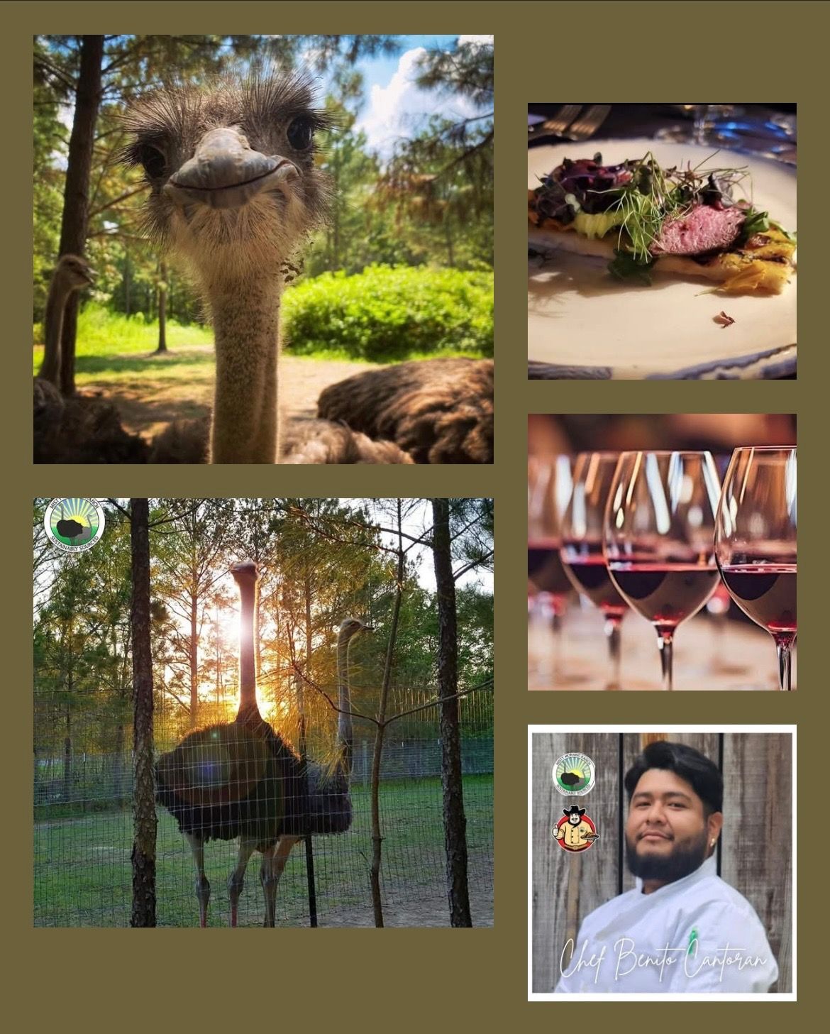 Misty - In partnership with Sandhills Trolley, we’re excited to invite ...