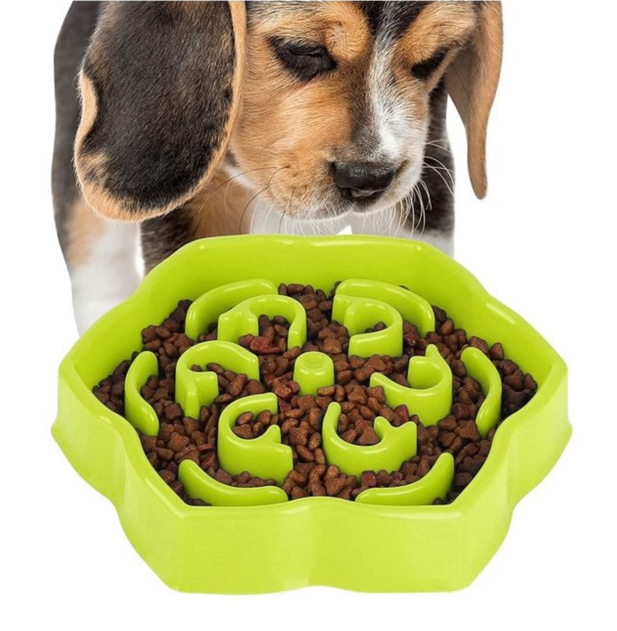 Slow Eating Dog Feeder For Wolfing Reference: Tabby S Pet Slow Feeder Bowl