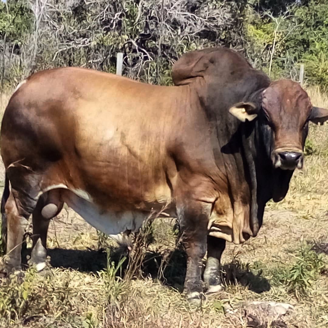 Mpingu Campsite - Camping at Mpingu comes with an... | Facebook