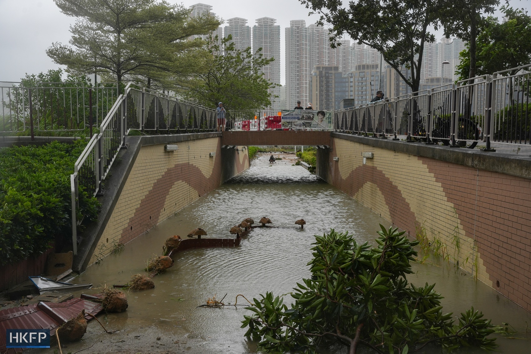 Hong - A massive uprooted tree in a public housing estate, damaged ...