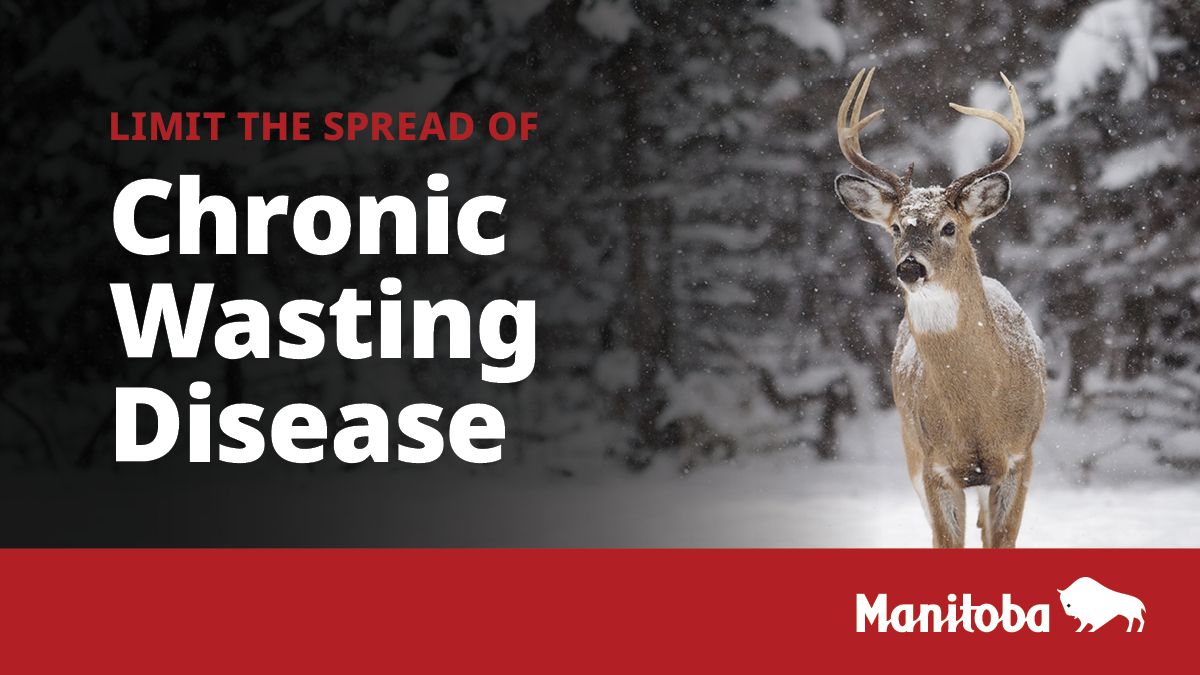 The new Chronic... - Canadian Wildlife Health Cooperative | Facebook