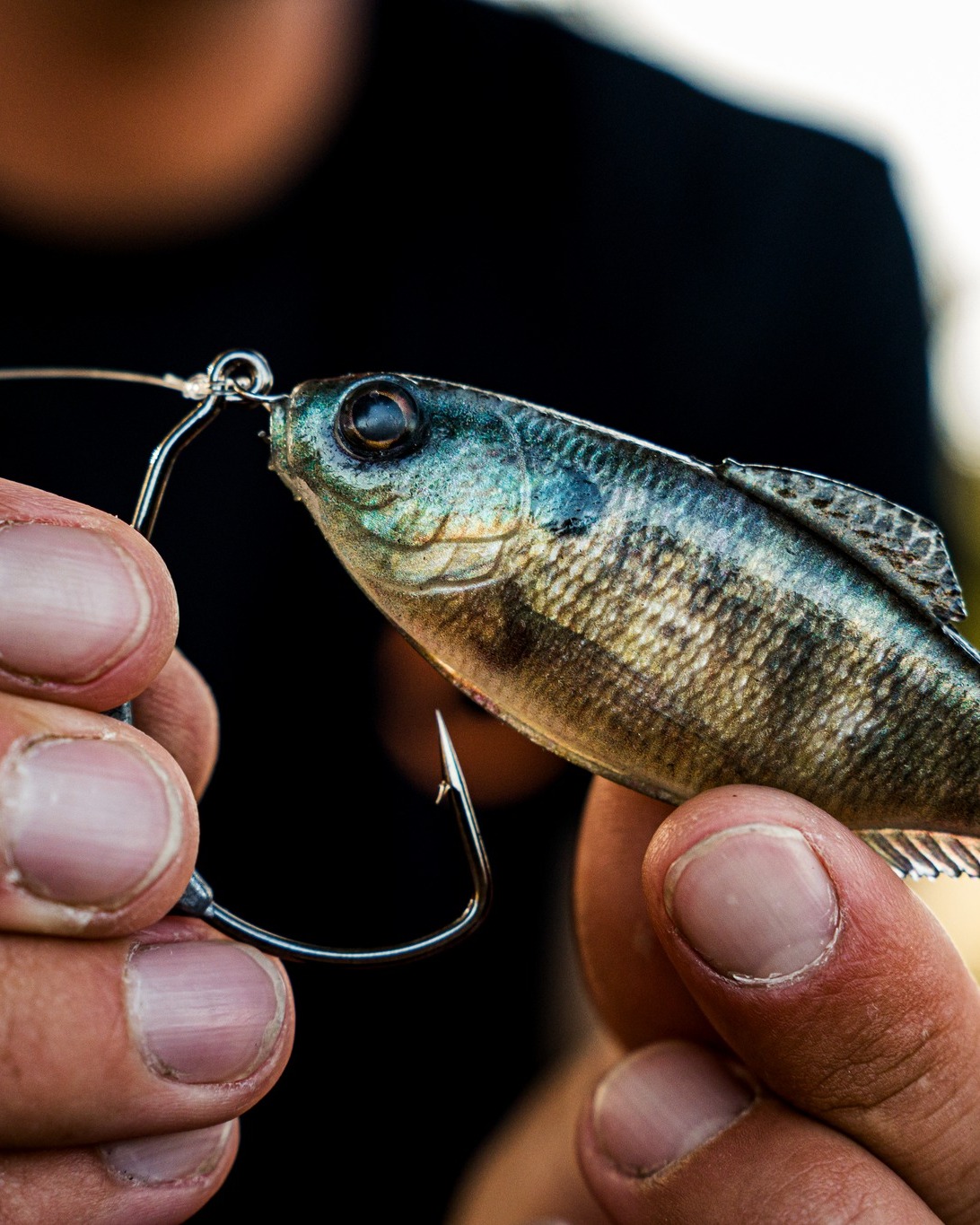 cat stick fishing pole Toy Elevate your catfishing game Vintage Magic Fishing Reel Color:Black & Gold Slammer Diver