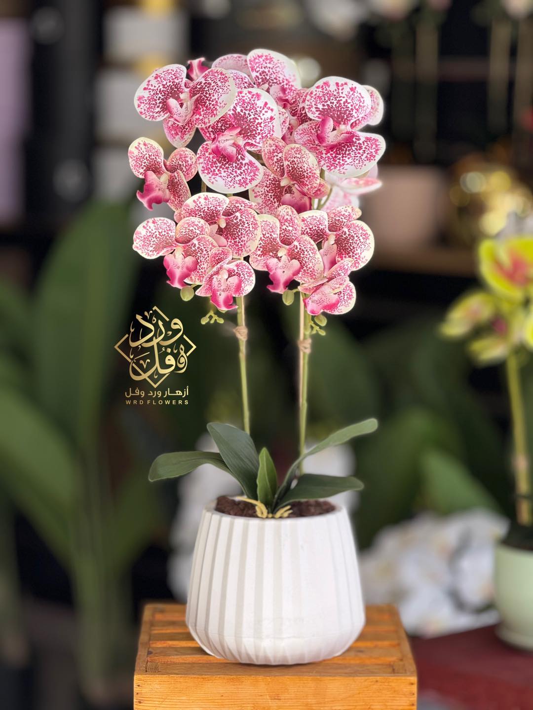 ‎Wrd flowers-أزهار ورد و... - Wrd flowers-أزهار ورد و فُل