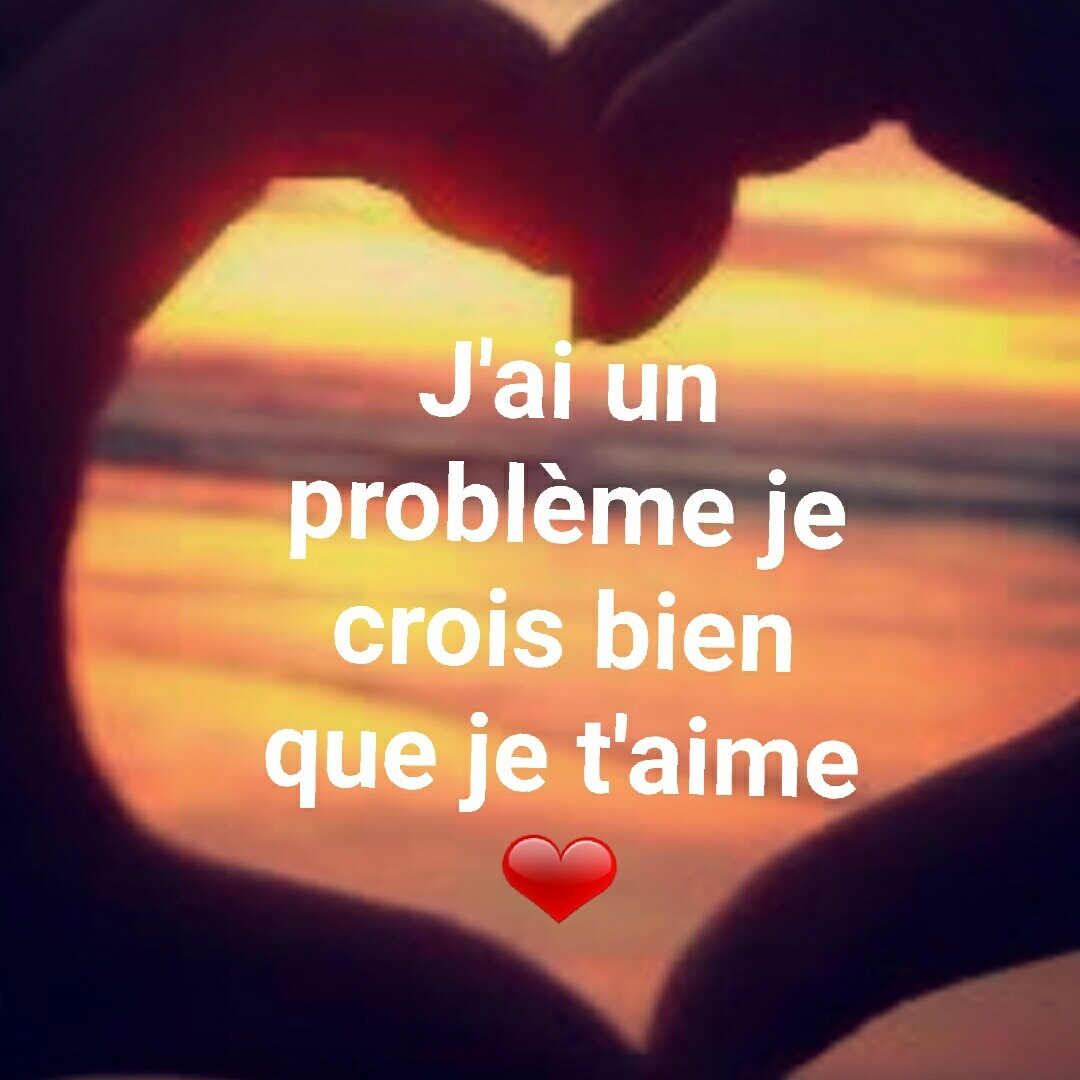 J ai Un Problème Je Crois Bien Que Je T aime Paroles