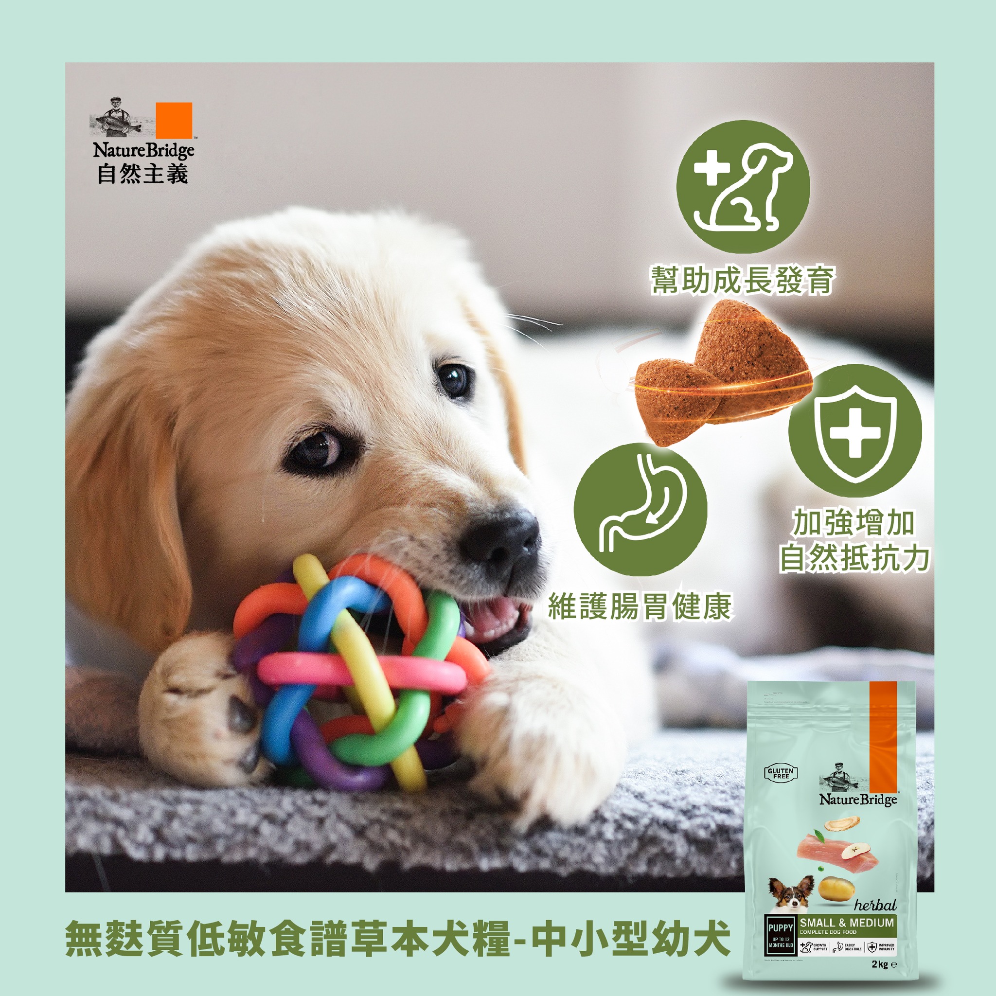 未滿一歲的狗狗正值關鍵成長期，這個時期的小毛孩除了對蛋白質、熱量、鈣質的需求較高... - NatureBridge自然主義 | Facebook